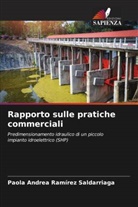 Paola Andrea Ramírez Saldarriaga - Rapporto sulle pratiche commerciali
