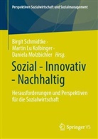 Martin Lu Kolbinger, Martin Lu Kolbinger, Daniela Molzbichler, Birgit Schmidtke - Sozial - Innovativ - Nachhaltig