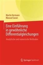 Martin Hermann, Masoud Saravi - Eine Einführung in gewöhnliche Differentialgleichungen