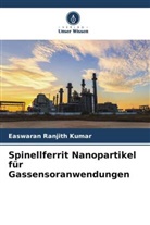 Easwaran Ranjith Kumar - Spinellferrit Nanopartikel für Gassensoranwendungen