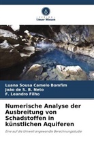 João de S B Neto, João de S. B. Neto, Leand, F. Leandro Filho, Luana Sousa Camelo Bomfim - Numerische Analyse der Ausbreitung von Schadstoffen in künstlichen Aquiferen