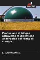 S. SUNDARANAYAGI - Produzione di biogas attraverso la digestione anaerobica del fango di stampa