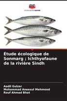 Rouf Ahmad Bhat, Aadil Gulzar, Mohammad Aneesul Mehmood - Étude écologique de Sonmarg ; Ichthyofaune de la rivière Sindh