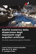 João de S. B. Neto, F. Leandro Filho, Luana Sousa Camelo Bomfim - Analisi numerica della dispersione degli inquinanti negli acquiferi artificiali