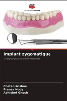 Abhishek Ghosh, Chetan Krishna, Pranav Mody - Implant zygomatique