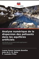João de S. B. Neto, F. Leandro Filho, Luana Sousa Camelo Bomfim - Analyse numérique de la dispersion des polluants dans les aquifères artificiels