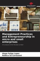 Rebeca Sá Carrazzoni, Hiago Felipe Lopes - Management Practices and Entrepreneurship in micro and small enterprises