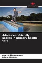 Julieta Chaloum, Ana Lía Zimmermann - Adolescent-friendly spaces in primary health care