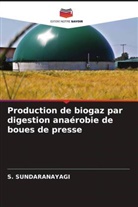 S. SUNDARANAYAGI - Production de biogaz par digestion anaérobie de boues de presse