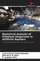 João de S. B. Neto, F. Leandro Filho, Luana Sousa Camelo Bomfim - Numerical Analysis of Pollutant Dispersion in Artificial Aquifers