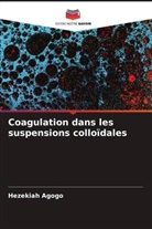 Hezekiah Agogo - Coagulation dans les suspensions colloïdales