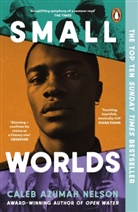 Caleb Nelson, Caleb Azumah Nelson - Small Worlds