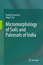 Dilip K Pal, Dilip K. Pal, Pankaj Srivastava - Micromorphology of Soils and Paleosols of India