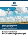 Krishna Murthy N, Krishna Murthy N., Nandikolmat, Trupti V. Nandikolmath, Raghu Nanjundegowda - Gefahren durch Hochspannungsleitungen