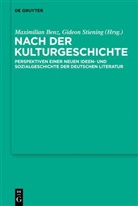 Maximilian Benz, Stiening, Gideon Stiening - Nach der Kulturgeschichte