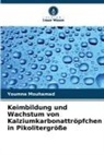 Youmna Mouhamad - Keimbildung und Wachstum von Kalziumkarbonattröpfchen in Pikolitergröße
