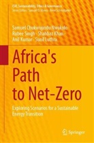 Sha Khan, Shahbaz Khan, Anil Kumar, Sunil Luthra, Samuel Chukwujindu Nwokolo, Rubee Singh - Africa's Path to Net-Zero