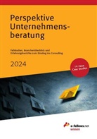 Pia Anhäupl, Thomas Fritz, Michael Hies - Perspektive Unternehmensberatung 2024