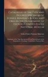 United States National Museum - Catalogue of the Type and Figured Specimens of Fossils, Minerals, Rocks, and Ores in the Department of Geology, United States National Museum: Catalog
