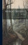 José Selgas - Mundo Invisible: Continuación De Las Escenas Fantásticas