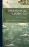 Henry Augustus Pilsbry - The Barnacles (Cirripedia): Contained in the Collections of the U. S. National Museum