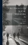 Lajos Felméri - Az Iskolázás Jelene Angolországban; Volume 1