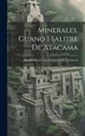 Anonymous - Minerales, Guano I Salitre De Atacama: Medidas Oficiales Para El Fomento De La Industria