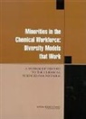 Board on Chemical Sciences and Technolog, Board on Chemical Sciences and Technology, Chemical Sciences Roundtable, Division On Earth And Life Studies, National Research Council - Minorities in the Chemical Workforce