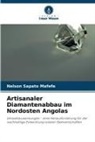 Nelson Sapato Mafefe - Artisanaler Diamantenabbau im Nordosten Angolas