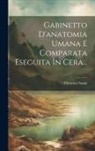 Clemente Susini - Gabinetto D'anatomia Umana E Comparata Eseguita In Cera