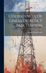 Manuel Marín Bonell - Coexistencia De Líneas De Alta Y Baja Tensión