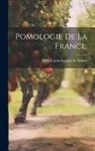 Socie&amp;769te&amp;769 Pomologique de France - Pomologie de la France