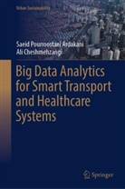 Saeid Pourroostaei Ardakani, Ali Cheshmehzangi, Saeid Pourroostaei Ardakani - Big Data Analytics for Smart Transport and Healthcare Systems
