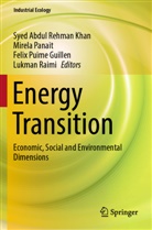 Syed Abdul Rehman Khan, Mirela Panait, Felix Puime Guillen, Felix Puime Guillen et al, Lukman Raimi - Energy Transition