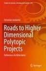 Octavian Iordache - Roads to Higher Dimensional Polytopic Projects