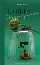 Peter Winter - Lahrer Chrysanthemen