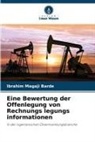 Ibrahim Magaji Barde - Eine Bewertung der Offenlegung von Rechnungs legungs informationen