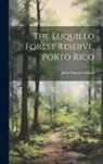 John Clayton Gifford - The Luquillo Forest Reserve, Porto Rico
