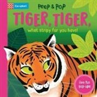 Campbell Books, Malgorzata Detner - Tiger, Tiger, What Stripy Fur You Have!