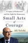 Anonymous Tbaa, Ali Velshi, Velshi Ali - Small Acts of Courage