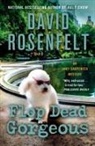 David Rosenfelt - Flop Dead Gorgeous
