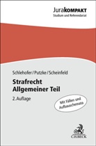 Holm Putzke, Jörg Scheinfeld, Horst Schlehofer - Strafrecht Allgemeiner Teil. Strafrecht AT