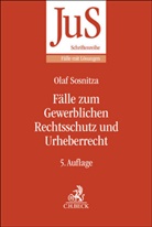 Frank Bayreuther, Olaf Sosnitza - Fälle zum Gewerblichen Rechtsschutz und Urheberrecht