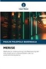 PAULIN POLEPOLE BAKENGULA - MERISE