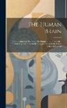 Anonymous - The Human Brain: Its Configuration, Structure, Development and Physiology: Illustrated by References to the Nervous System in the Lower