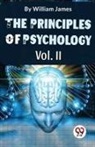 William James - The Principles Of Psychology Volume II