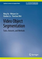 Weiyao Lin, Xiankai Lu, Xiankai et al Lu, Yunchao Wei, Ning Xu - Video Object Segmentation