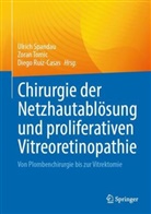 Diego Ruiz-Casas, Ulrich Spandau, Zoran Tomic - Chirurgie der Netzhautablösung und proliferativen Vitreoretinopathie