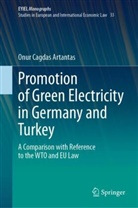 Onur Cagdas Artantas - Promotion of Green Electricity in Germany and Turkey