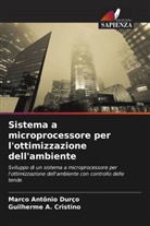 Guilherme A. Cristino, Marco Antônio Durço - Sistema a microprocessore per l'ottimizzazione dell'ambiente